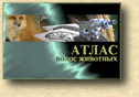 Atlas Banner